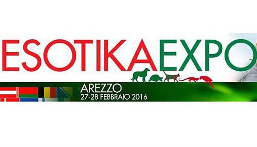 ESOTIKA AREZZO 2016 ESOTIKA AREZZO 2016